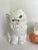 Mid-Century Modern Vintage Large Porcelain Kitty Cat Figurines - a Pair For Sale - Image 3 of 9