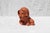 Sculpture Materials 1970s Small Terracotta head - artist head - handmade head - handformed clay - orange head - head sculpture - art head - handformed - clay head For Sale - Image 7 of 12