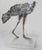 Cesar, Poule en marche, Lithograph For Sale - Image 4 of 9