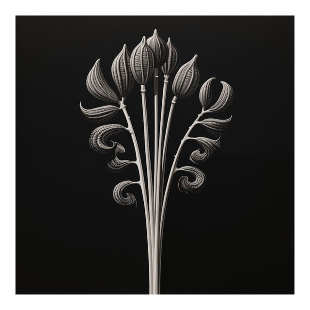 20' X 20' 'Equisetum Hyemale' - Black and White Limited Edition Botanical Photograph Print, Unframed For Sale