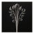 20' X 20' 'Equisetum Hyemale' - Black and White Limited Edition Botanical Photograph Print, Unframed For Sale