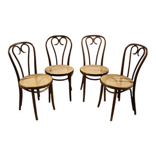 1960s Thonet Sweetheart No 16 Bentwood & Cane Chairs by Zpm Rodomsko - Crafted in Poland - Set of 4 For Sale