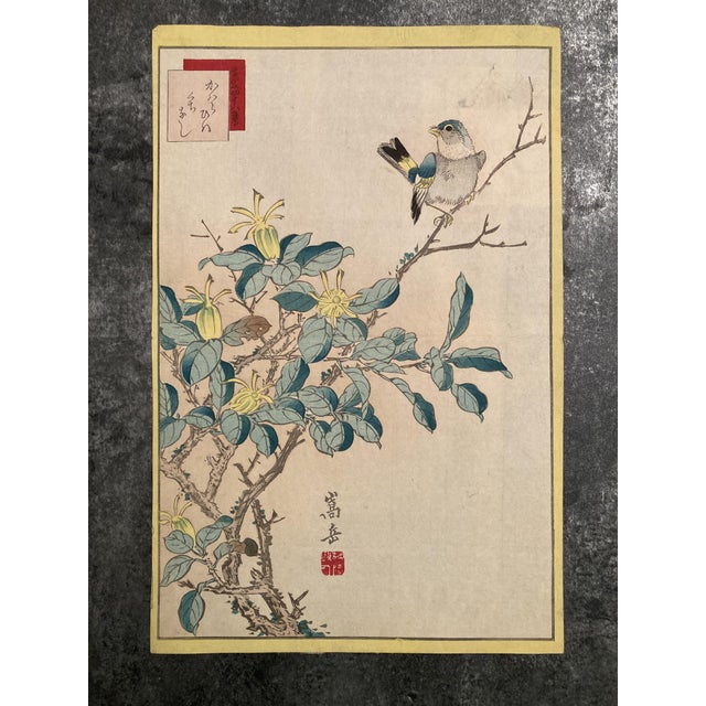 Nakayama Sūgakudō, Verdier Et Gardénia, 1859, Woodblock Print For Sale - Image 13 of 13