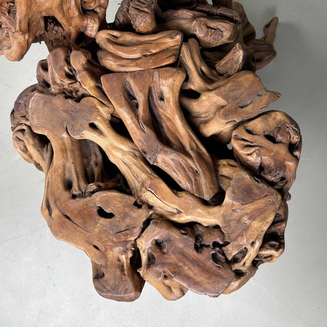 Large Japanese Burl Root Wood Plant Stand, 1920s For Sale - Image 16 of 18