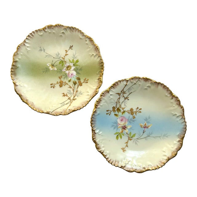 1900s Limoges Hand Painted Floral Porcelain Plates - a Pair For Sale