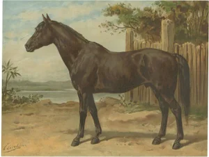 O. Eerelman, Australian Horse, 1898, Print