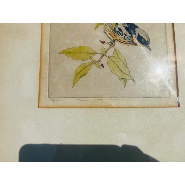 American 1940s Ornithological Etching Signed Benson Moore For Sale - Image 3 of 4