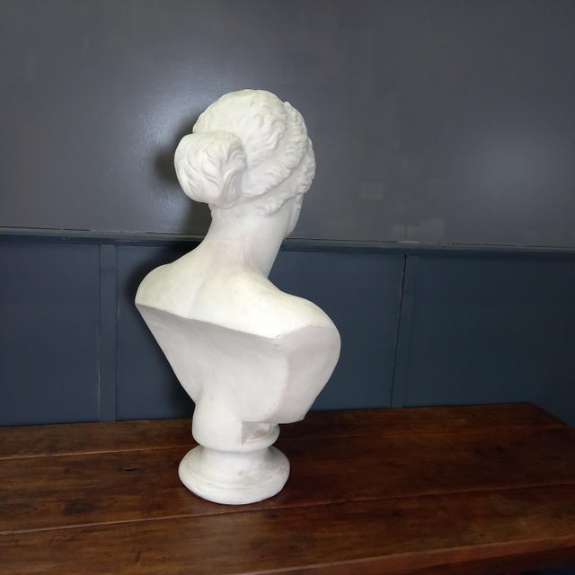 Large Nude Bust of Venus, 1950s For Sale - Image 13 of 15