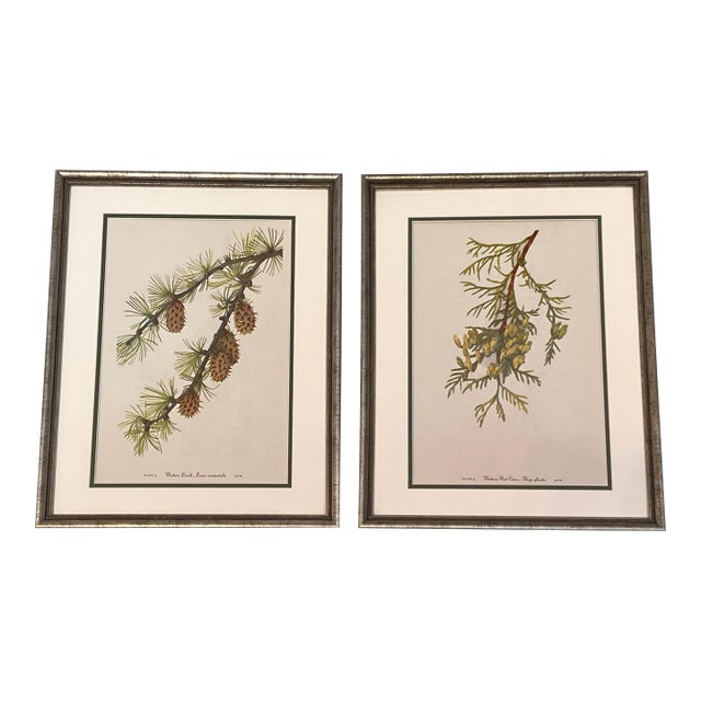 Framed Vintage Botanicals Set of 2 -Authentic 1963 Prints For Sale