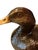 Late 20th Century Vintage Hand Carved Wood Duck Decoy Figure / Statue / Object With Amber Eyes For Sale - Image 5 of 9