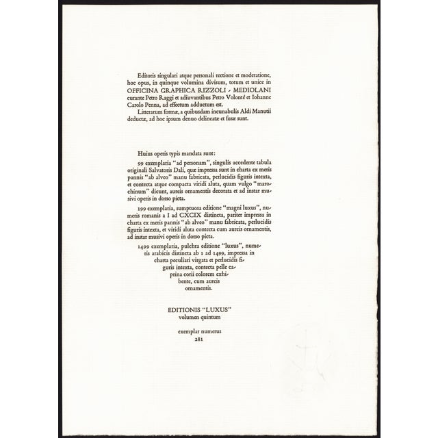 Printmaking Materials 1969 Salvador Dalí Biblia Sacra Lithograph "Iesu Transfiguratio" (Jesus Transfiguration) For Sale - Image 7 of 8