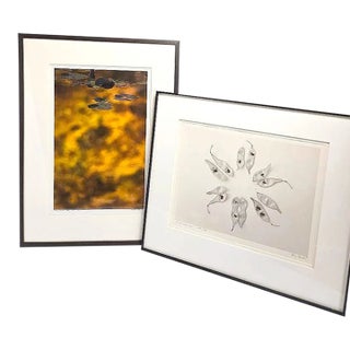 Late 20th Century Bill Pusztai Signed Limited Edition "Seattle Japanese Garden" Photograph & "Black Locust" Botanical Print - Framed Pair For Sale