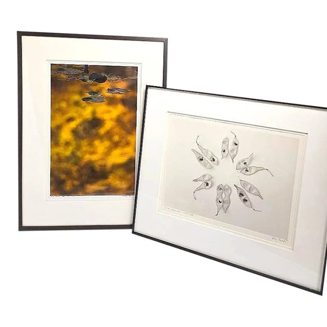 Late 20th Century Bill Pusztai Signed Limited Edition "Seattle Japanese Garden" Photograph & "Black Locust" Botanical Print - Framed Pair For Sale
