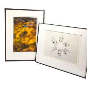 Late 20th Century Bill Pusztai Signed Limited Edition "Seattle Japanese Garden" Photograph & "Black Locust" Botanical Print - Framed Pair