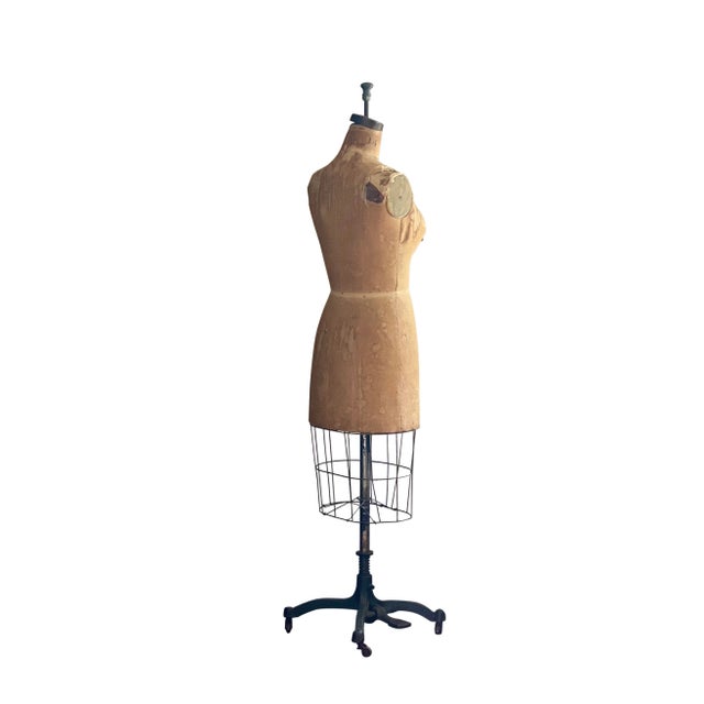 Boho Chic Vintage Original Wolf 1956 Dress Form Mannequin For Sale - Image 3 of 12