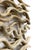 Tan Large Vine Square Grouping - Wall Art Set of 4 For Sale - Image 8 of 9