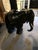 Black Large Teakwood Elephant Garden Seat Sculpture For Sale - Image 8 of 9