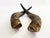 Farmhouse 1960s Primitive Longhorn Bull Horns Southwest D√©cor - Set of 2 For Sale - Image 3 of 9