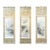 Rare Triptych Scroll Paintings by Watanabe Seitei Meiji Period For Sale