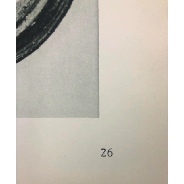 Realism Framed Vintage Botanical Blossfeldt Print - No. 26 For Sale - Image 3 of 4