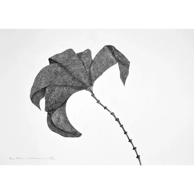 Secret Garden 18 by Alina Aldea For Sale - Image 6 of 6