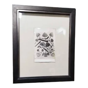 Samoan Fans Original Photography Print by Alfred James Tattersall
