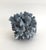 Late 20th Century Natural Blue Coral Specimen For Sale - Image 5 of 7