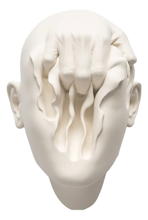 Searching for Spring by Johnson Tsang