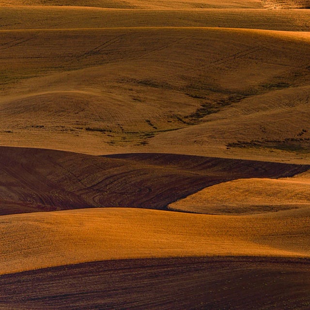 2021 "The Palouse at Sunset. Wheatfields in Eastern Washington" Ultra Vibrant Acrylic Prints by Marty Hulsebos Photography For Sale - Image 4 of 9
