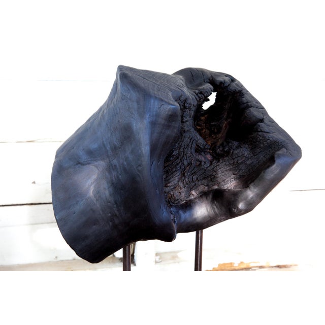 2020s Matka Yakisugi Abstract Modern Organic Sculpture For Sale - Image 5 of 10
