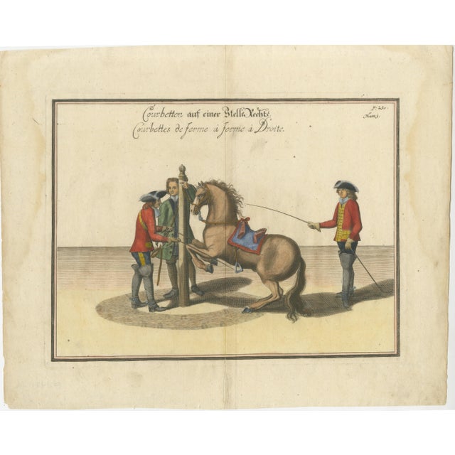 William Cavendish, Courbette Horse Training, 1700s, Engraving For Sale - Image 3 of 12