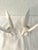 1970s 1970s Fitz & Floyd White Dove Candle Holders, a Pair For Sale - Image 5 of 5