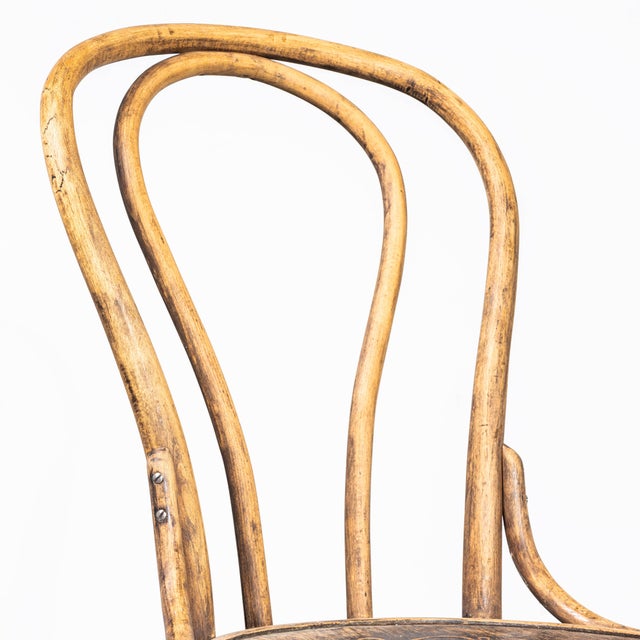 Vintage Hoopback Bentwood Dining Chairs, 1950s, Set of 6 For Sale - Image 6 of 7