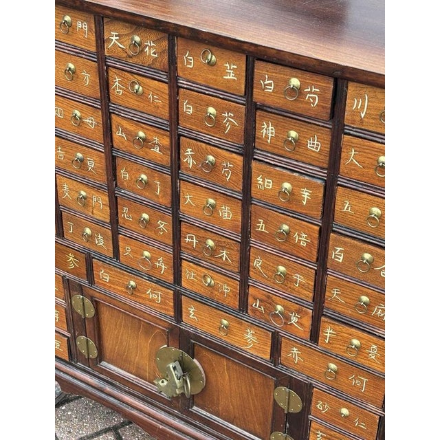 Vintage Chinese Apothecary Cabinet For Sale - Image 10 of 10