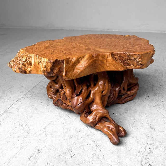 Mid-Century Yakusugi (Yakusugi) Burl Wood Plant Stand, Japan, 1940s For Sale - Image 14 of 14