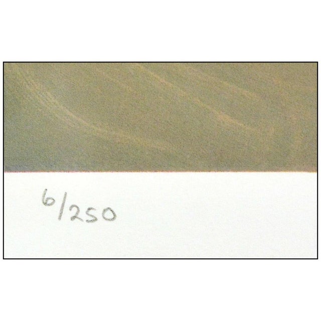 Late 20th Century Late 20th Century Prima Luce, Jose Royo For Sale - Image 5 of 6
