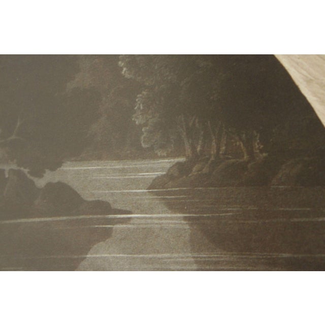 John James Audubon Ornithological, 'American White Pelican' For Sale - Image 11 of 12