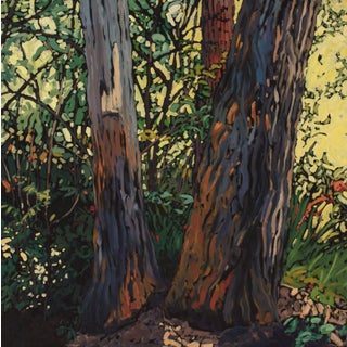 Evening's Glow by Deb Komitor | Oil Painting of trees in a forest with warm light For Sale