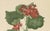 A.L., Two Stems with Red Flowers, 1819, Watercolor For Sale - Image 6 of 11