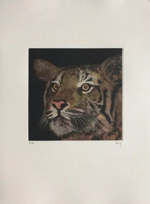 1990s "Tiger" Etching Mezzotint by Henry