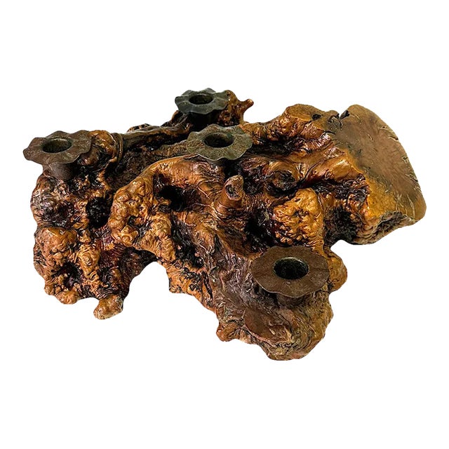 Large Burl Wood Candelabra Table Centerpiece / Candle Holder For Sale