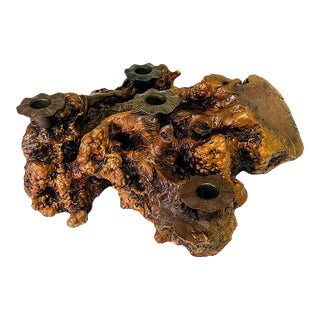 Magnificent Naturalistic Burlwood Candelabra Table Centerpiece / Mid Century Candle Holder For Sale