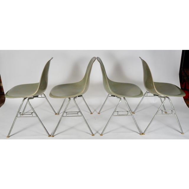 Vintage Eames Fiberglass DSS Stacking Chairs by Charles and Ray Eames for Herman Miller Set of 4 For Sale In Miami - Image 6 of 12