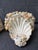 Vintage Coastal Seashell Encrusted Wall Bracket a Pair For Sale - Image 11 of 17