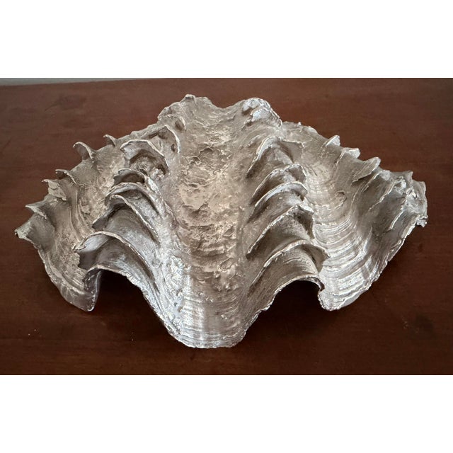 Vintage Silvered Clam Shell For Sale - Image 9 of 11