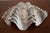 Vintage Silvered Clam Shell For Sale - Image 9 of 11
