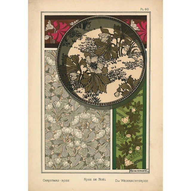 Art Nouveau "Rose De Noel, Pl. 60" Art Nouveau Pochoir by A. Giacometti For Sale - Image 3 of 3