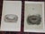Authentic Antique 19th Century Hand Colored Bird Nest & Egg Lithographs - Set of 12 For Sale - Image 4 of 9