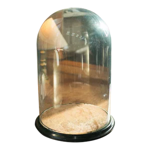 1880's Large Victorian Antique Taxidermy Dome