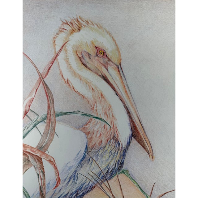 Realism 1987, Pelican, Offset Lithograph Print, Artist Louise Freshman Brown For Sale - Image 3 of 6